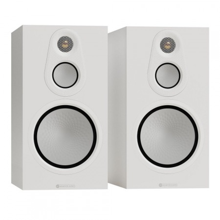 Image Silver 100 8G white
